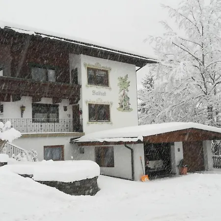 Waldrast, Haus *